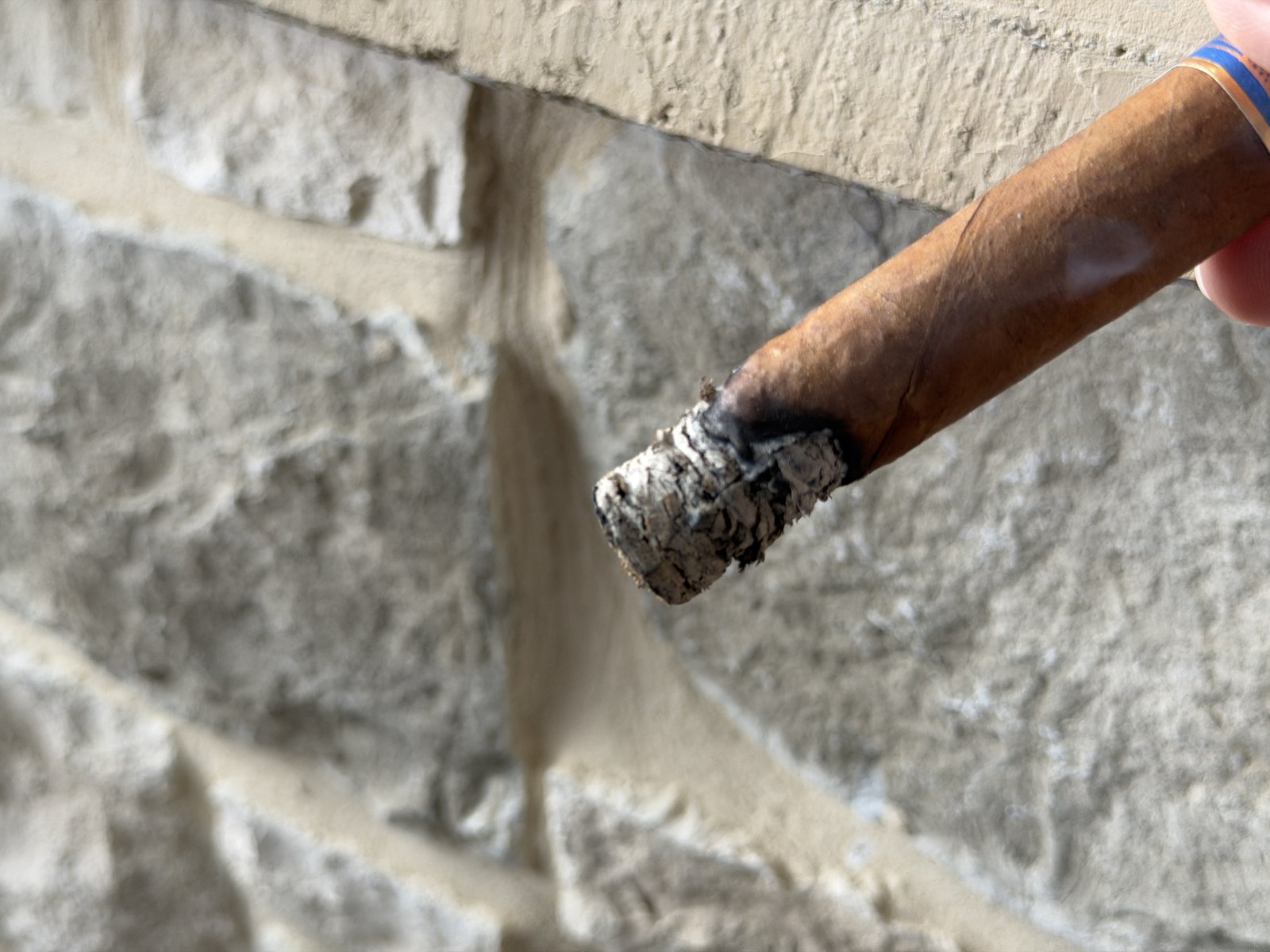 The Wise Man Corojo with a ragged, flaky grey ash and an uneven burn line, held over a stone wall
