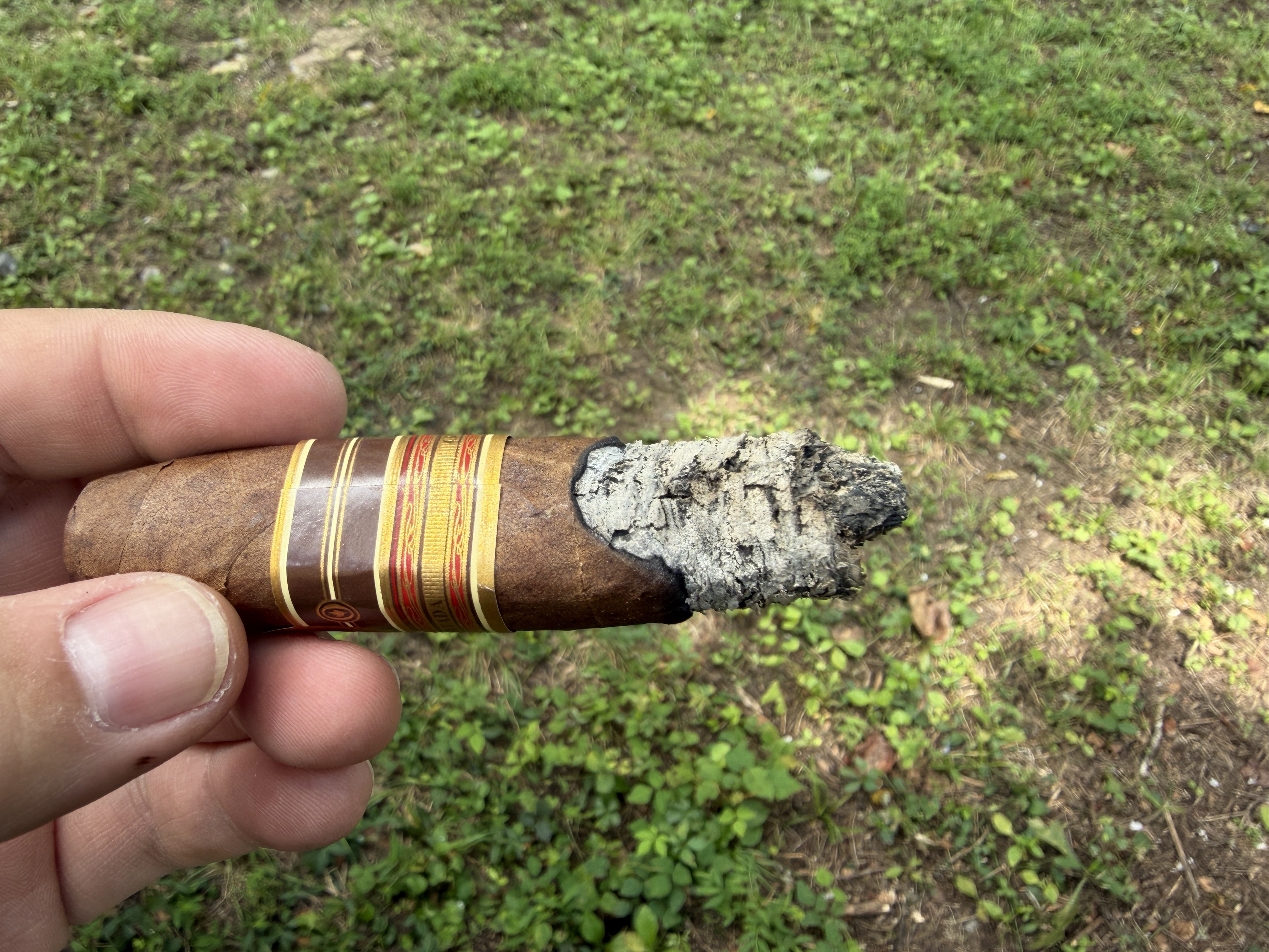 Craggy gray ash and a wandering burn line on the Melanio Figurado, gold and red bands visible below