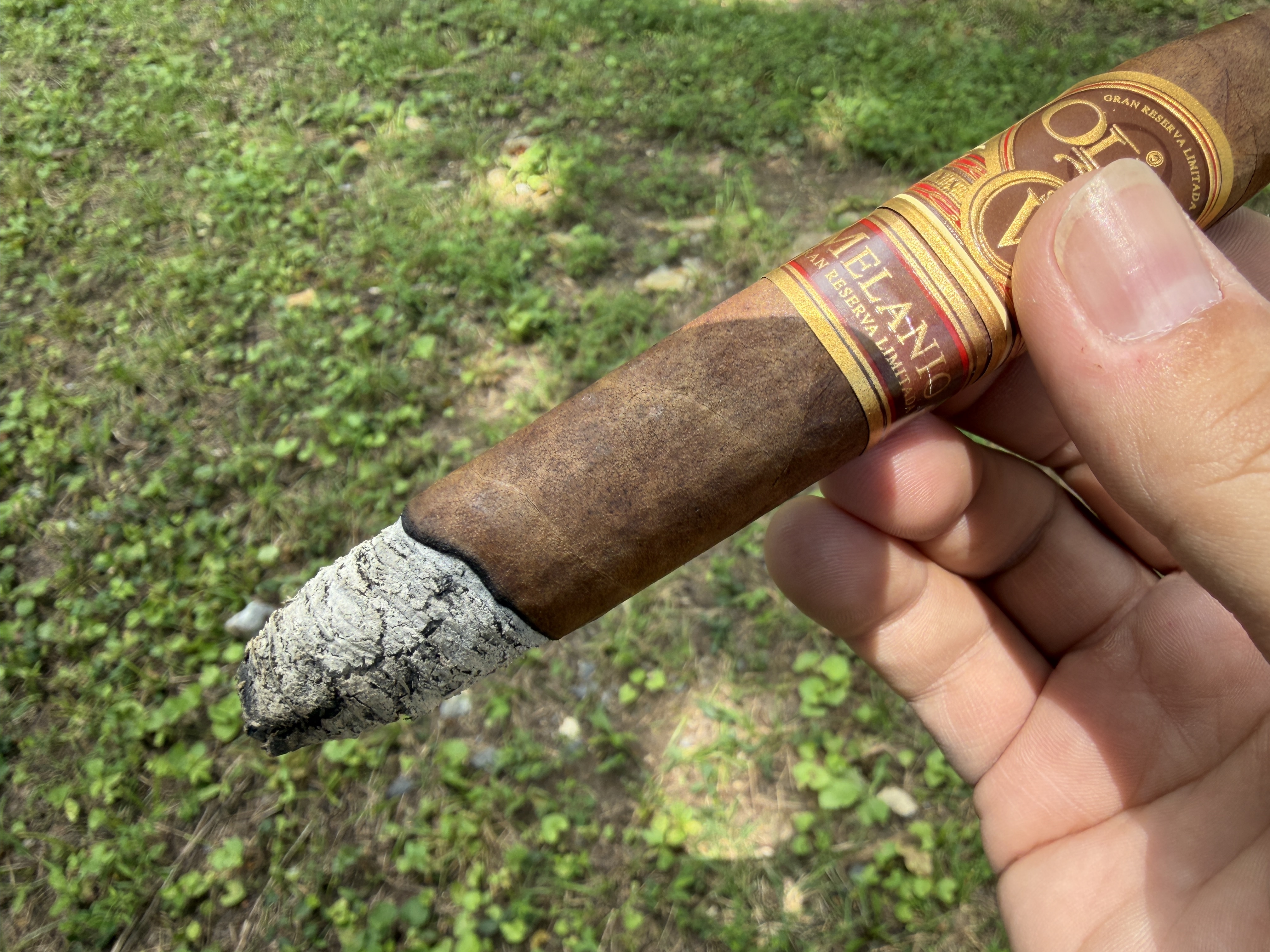 Lit Melanio Figurado with light gray ash building on the foot and an uneven blackened burn line, both bands still on