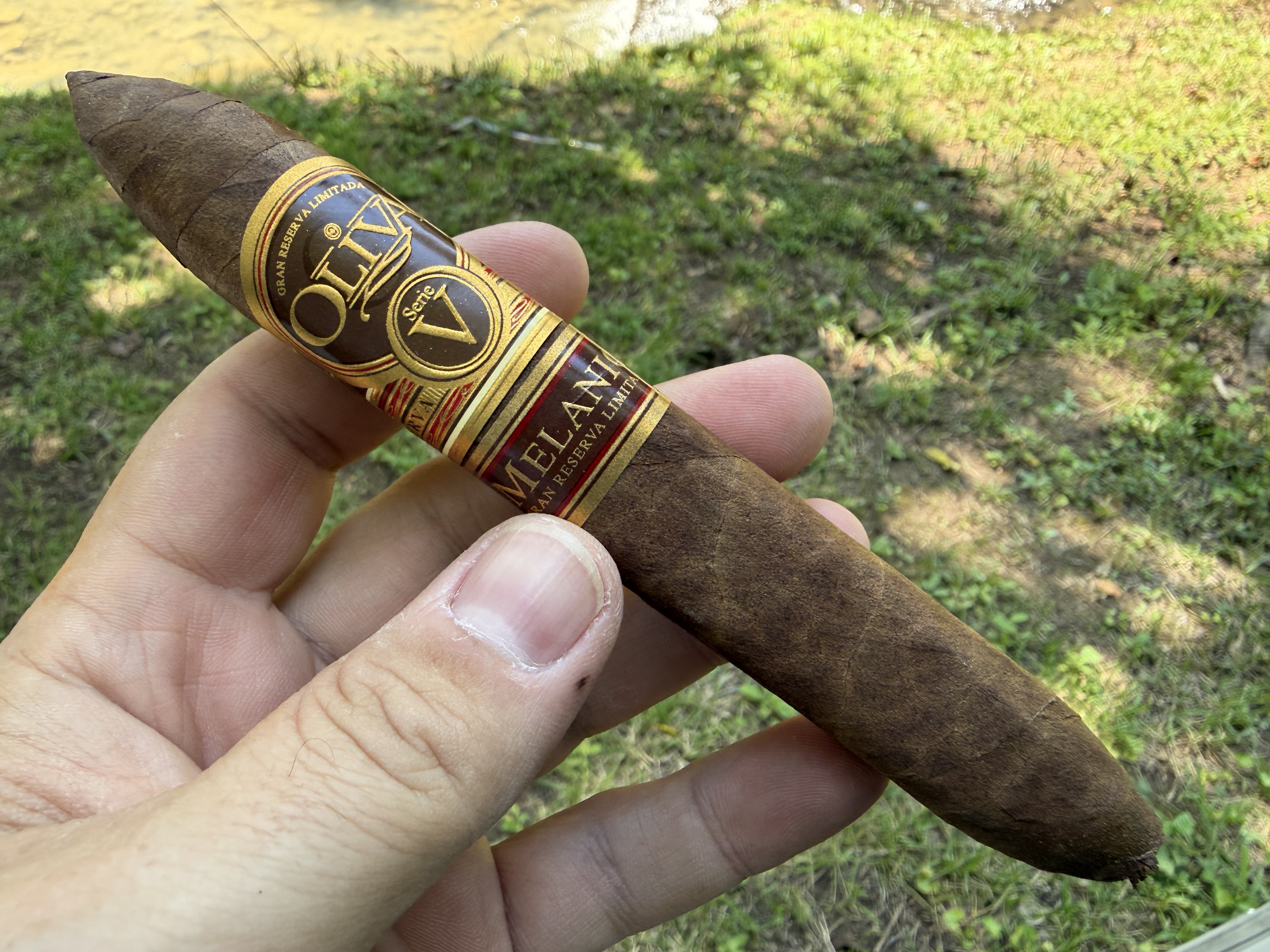 Unlit Oliva Serie V Melanio Figurado held in hand over creekside grass, chocolate brown wrapper with the gold Serie V band and red Melanio band, tapered head