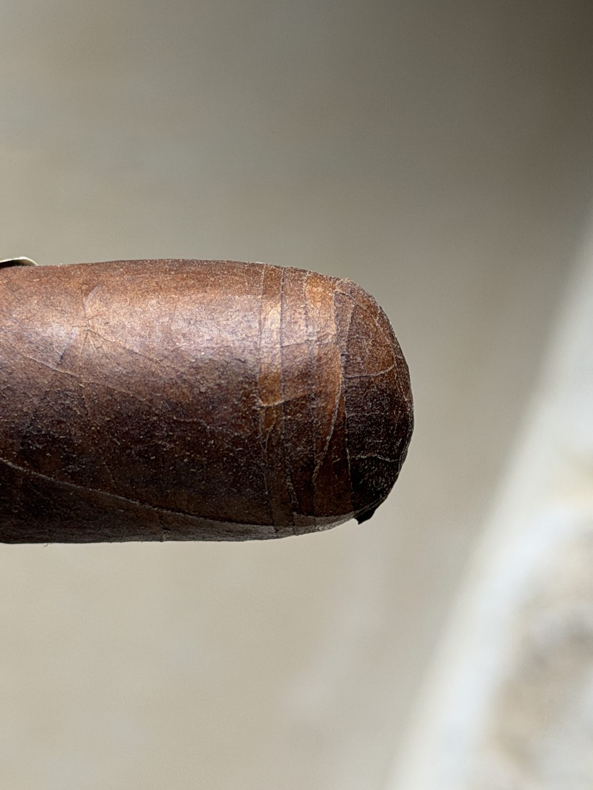 Close-up of the uncut cap on the Oliva Serie V Toro showing several stacked layers of wrapper leaf