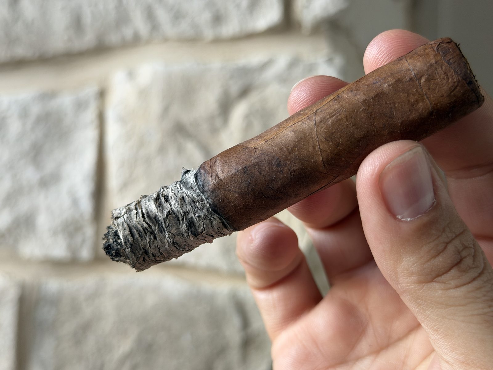 Padrón 2000 Maduro Robusto in hand with a tight dark ash, band already removed