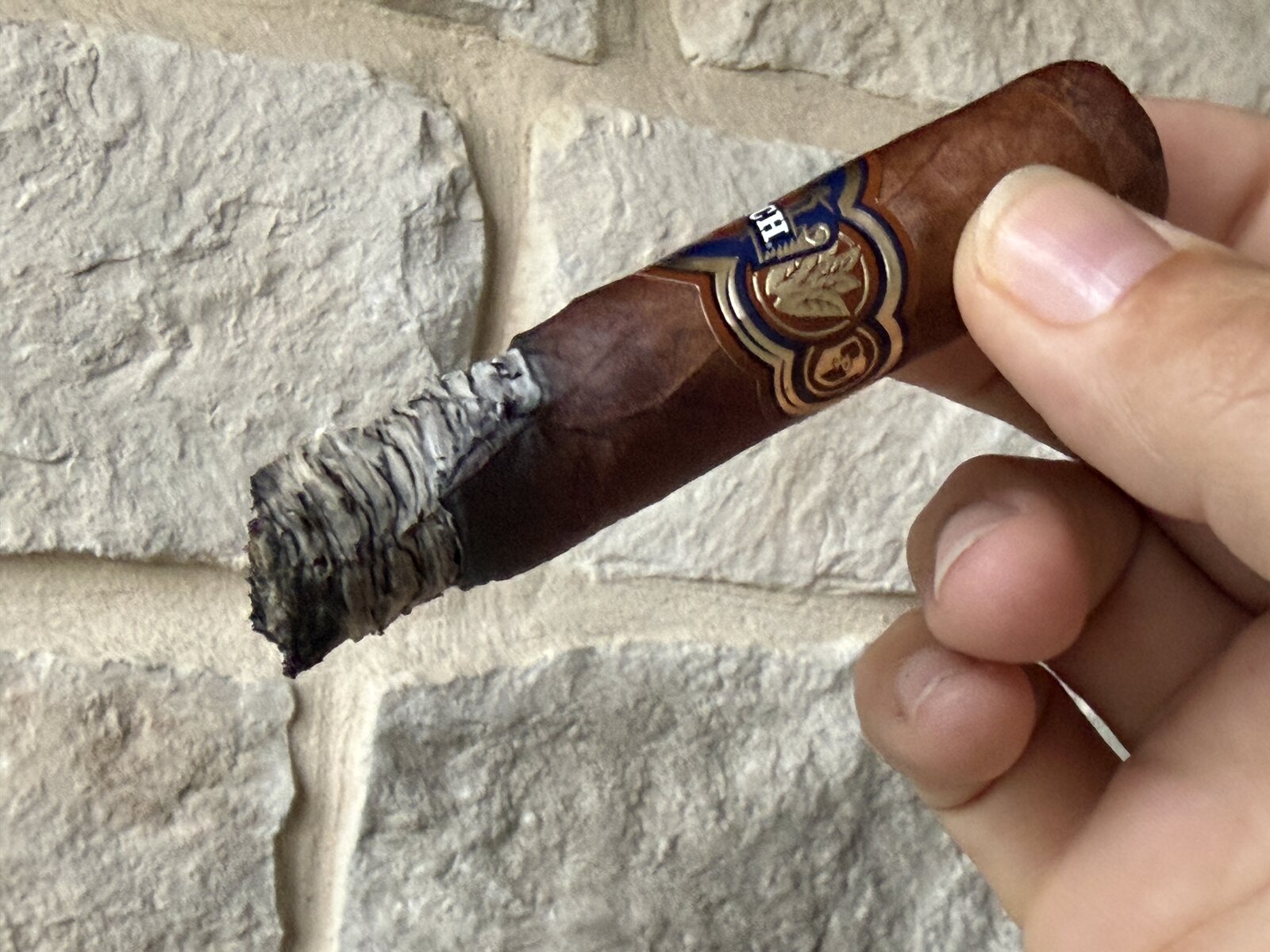Final third of the Punch Reserve Collection Robusto with the leaf-crest band and a long ridged gray ash