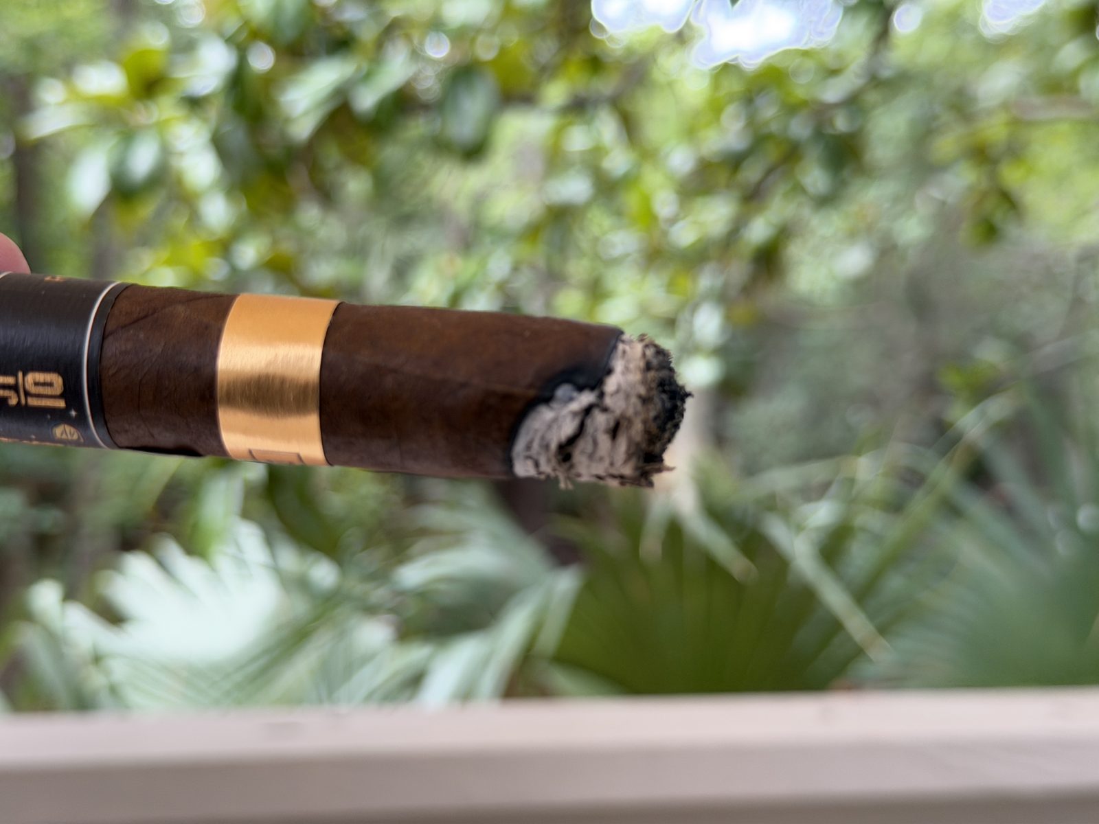Close-up of the JT10 burn line and ash at the foot band in the second third